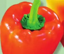 IGA GREENHOUSE SWEET YELLOW, ORANGE OR RED PEPPERS offer