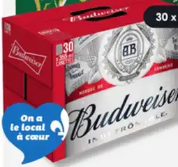 IGA BUDWEISER BEER offer