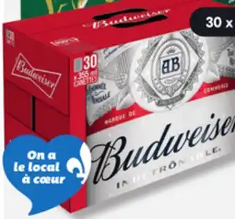 IGA BUDWEISER BEER offer