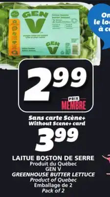 IGA GEN V GREENHOUSE BUTTER LETTUCE offer