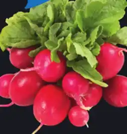 IGA RED LEAF RADISHES offer