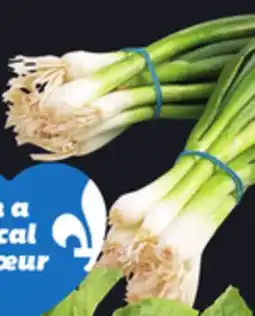 IGA GREEN ONIONS offer