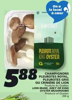 IGA LION MANE, GREY OR KING OYSTER MUSHROOMS offer