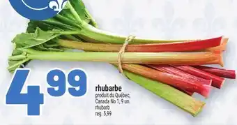 Metro RHUBARBE | RHUBARB offer