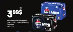 Metro BOISSONS GAZEUSE PEPSICO offer