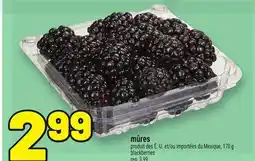 Metro MÛRES | BLACKBERRIES offer