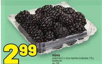 Metro MÛRES | BLACKBERRIES offer
