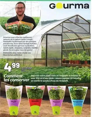 Metro FINES HERBES GOURMA | GOURMA FINE HERBS offer