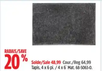 Canadian Tire PANASONIC 4 x 6´ Mat offer
