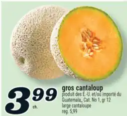 Marché Richelieu GROS CANTALOUP | LARGE CANTALOUPE offer