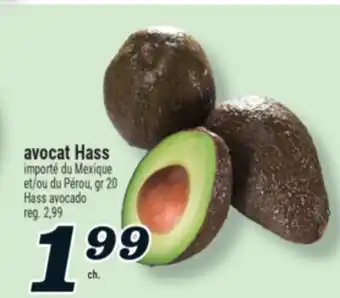 Marché Richelieu avocat Hass | Hass avocado offer