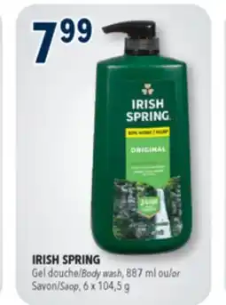 Familiprix IRISH SPRING, Saop, 6 x 104,5 g or Body wash, 887 ml offer
