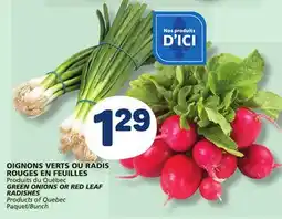 Marché Bonichoix GREEN ONIONS OR RED LEAF RADISHES offer