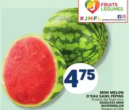 Marché Bonichoix SEEDLESS MINI WATERMELON offer