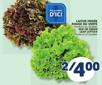 Marché Bonichoix RED OR GREEN LEAF LETTUCE offer