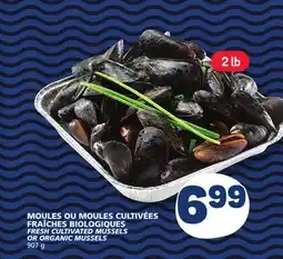 Marché Bonichoix FRESH CULTIVATED MUSSELS OR ORGANIC MUSSELS offer