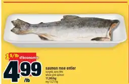 Super C saumon rose entier | whole pink salmon offer