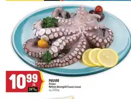 Marché Adonis PIEUVRE | OCTOPUS offer