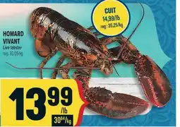 Marché Adonis HOMARD VIVANT | LIVE LOBSTER offer