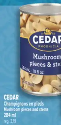 Marché Adonis CEDAR CHAMPIGNONS EN PIEDS | CEDAR MUSHROOM PIECES AND STEMS offer