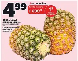 Provigo LARGE CROWNLESS PINEAPPLE offer