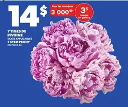 Provigo 7 TIGES DE PIVOINE offer