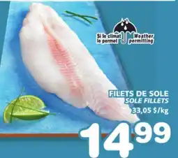Marches Tradition SOLE FILLETS offer