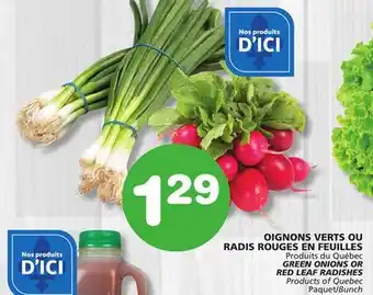 Marches Tradition GREEN ONIONS OR RED LEAF RADISHES offer