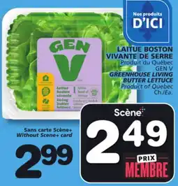 Marches Tradition LIVING GREENHOUSE LIVING BUTTER LETTUCE offer