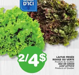 Marches Tradition RED OR GREEN LEAF LETTUCE offer