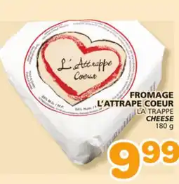 Marches Tradition CHEESE offer