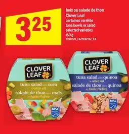 Maxi BOLS OU SALADE DE THON CLOVER LEAF | TUNA BOWLS OR SALAD, 160 G offer