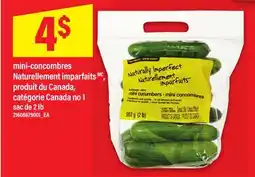Maxi MINI-CONCOMBRES NATURELLEMENT IMPARFAITS, SAC DE 2 LB offer