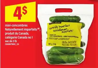 Maxi MINI-CONCOMBRES NATURELLEMENT IMPARFAITS, SAC DE 2 LB offer