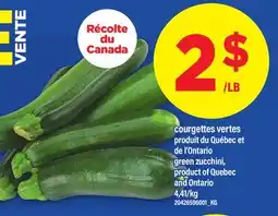 Maxi COURGETTES VERTES | GREEN ZUCCHINI offer