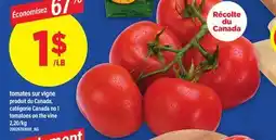 Maxi TOMATES SUR VIGNE | TOMATOES ON THE VINE offer