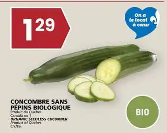 Rachelle-Bery Grocery ORGANIC SEEDLESS CUCUMBER offer