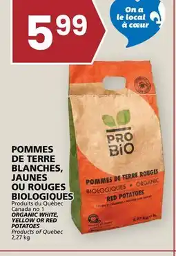Rachelle-Bery Grocery ORGANIC WHITE, YELLOW OR RED YELLOW OR RED POTATOES offer