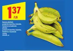 Maxi BANANE PLANTAIN offer