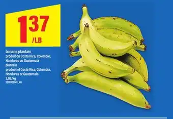 Maxi BANANE PLANTAIN offer