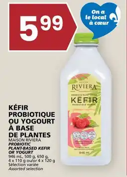 Rachelle-Bery Grocery MAISON RIVIERA PROBIOTIC PLANT-BASED KEFIR OR YOGURT offer