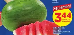 Maxi MELON D'EAU ENTIER SANS PÉPINS SANS PÉPINS, 9 LB offer
