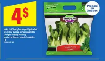 Maxi PAK-CHOÏ SHANGHAI OU PETIT PAK-CHOÏ, 1 LB offer