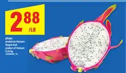 Maxi PITAYA | DRAGON FRUIT offer