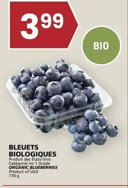 Rachelle-Bery Grocery Grade ORGANIC BLUEBERRIES offer