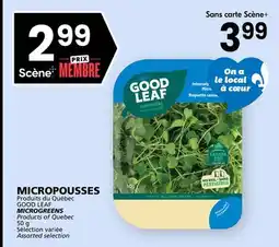 Rachelle-Bery Grocery GOOD LEAF MICROGREENS offer