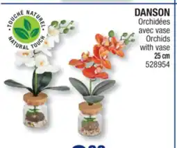 Jean Coutu DANSON Orchids with vase offer