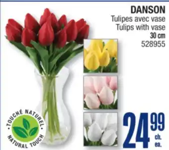 Jean Coutu DANSON Tulips with vase offer