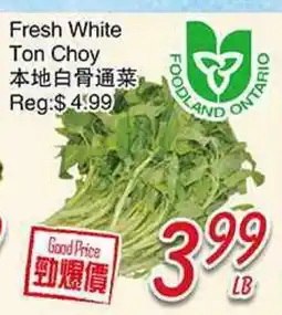 Foody Mart Fresh White Ton Choy offer