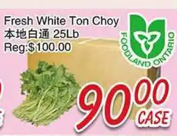 Foody Mart Fresh White Ton Choy offer
